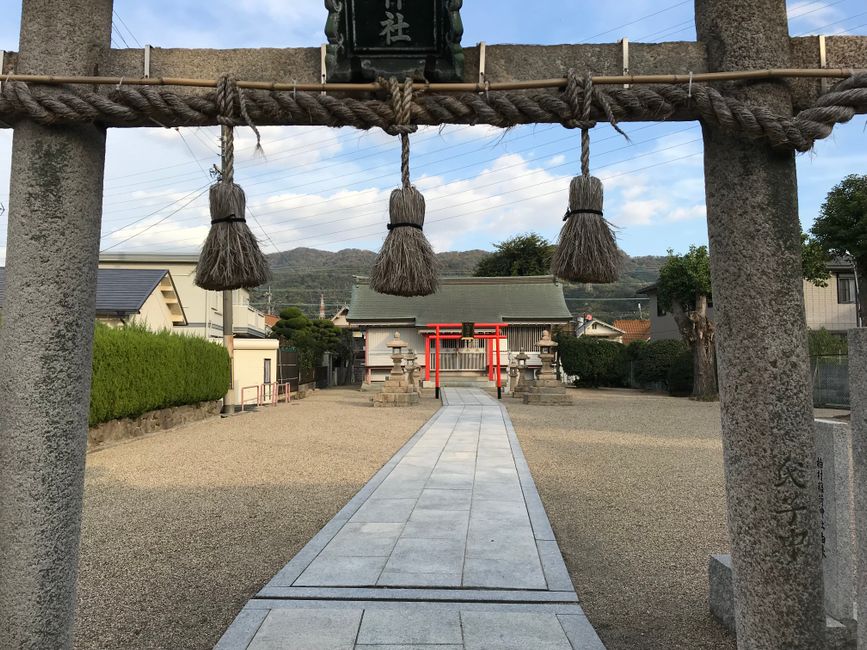 神社の鳥居と社殿。祈祷予約の電話・Webどちらが良いか解説する記事のイメージ
