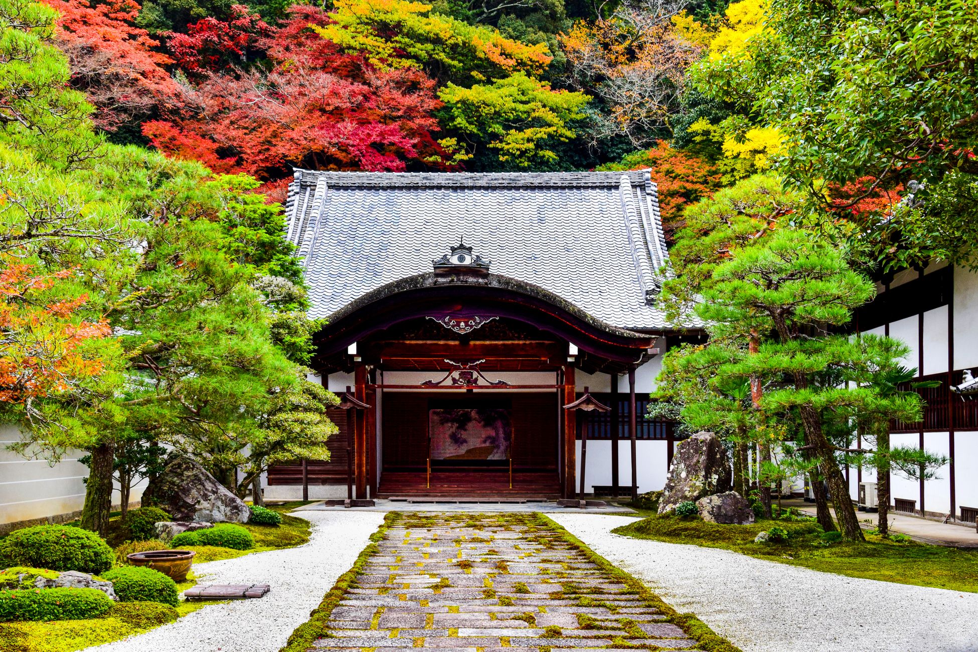 紅葉に彩られた秋の神社の社殿イメージ