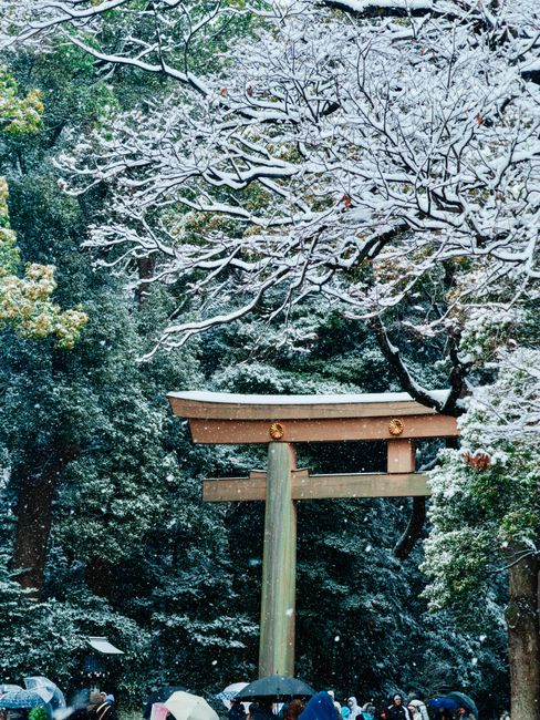 雪が降る中の神社の鳥居（イメージ）
