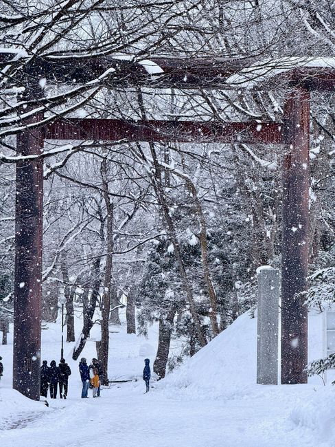 雪の降る札幌の鳥居と参拝客