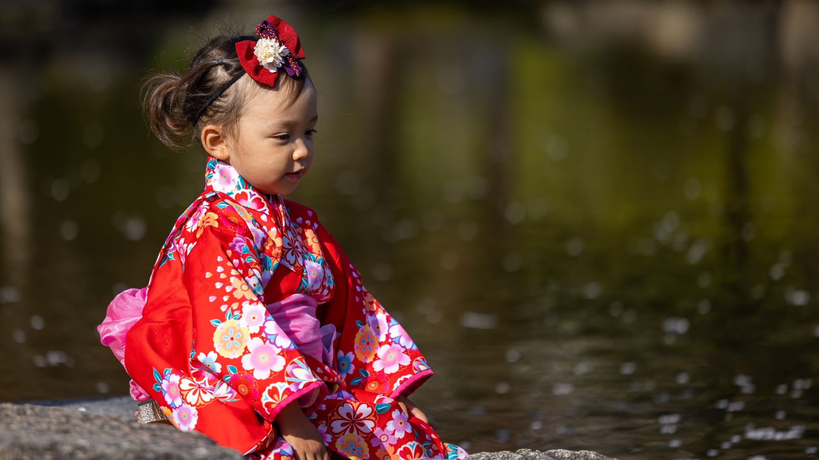 七五三の晴れ着を着た子ども（仙台・宮城の七五三のイメージ）